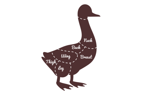 Download Goose Cut Diagram. Bird Meat Butcher Ill - Diagram Collection